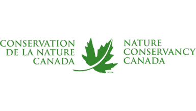 NCC logo